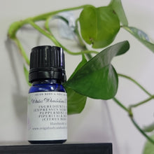 Load image into Gallery viewer, Winter Wonderland