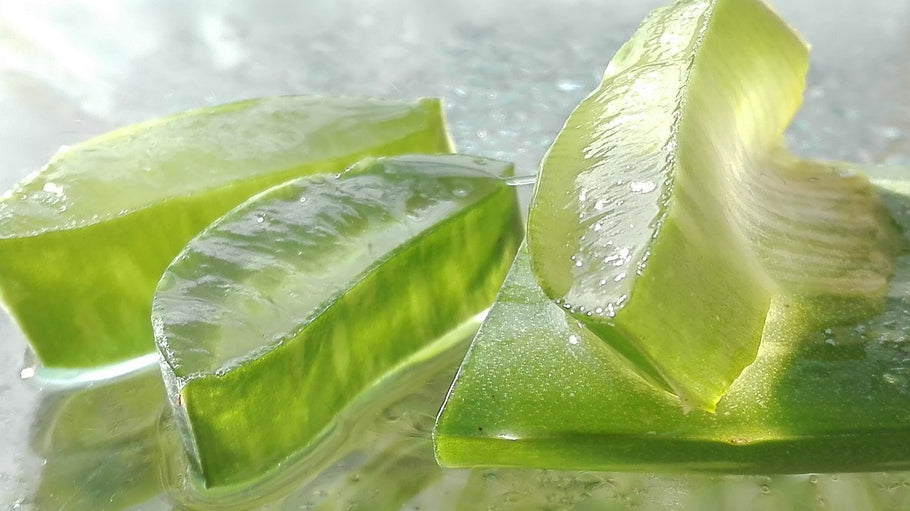 The Ultimate Guide to Aloe Vera