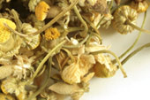 Chamomile, whole